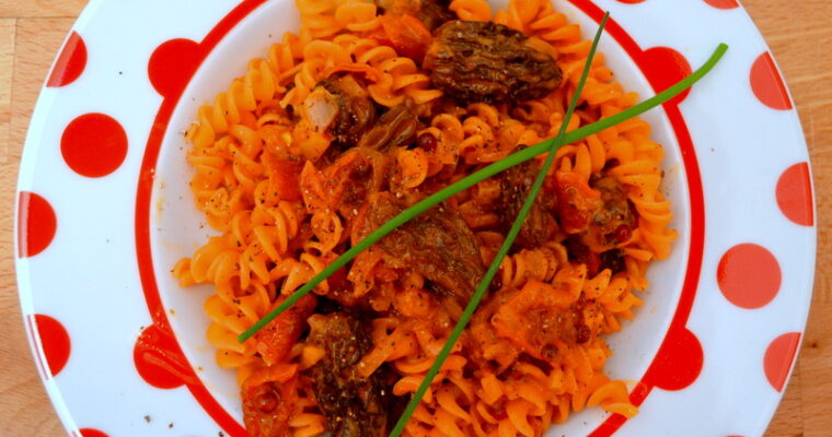 Rote-Linsen-Pasta mit Morchelsauce – vegan und glutenfrei