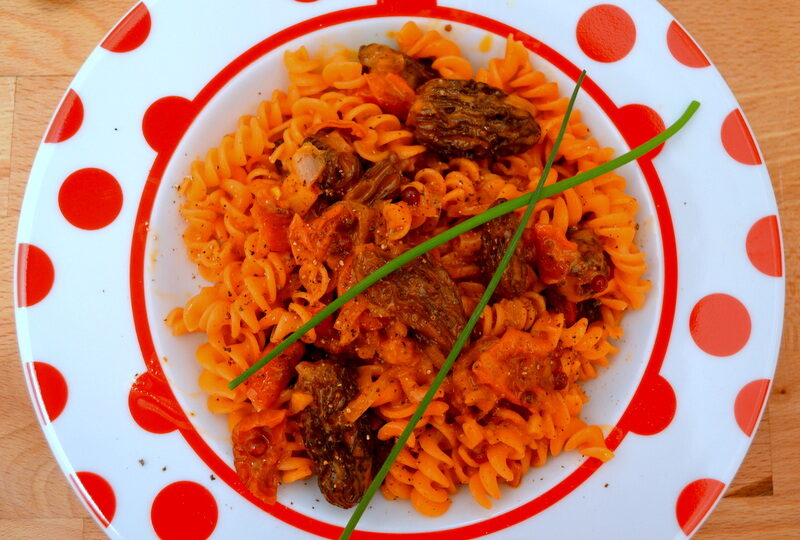 Rote-Linsen-Pasta mit Morchelsauce – vegan und glutenfrei